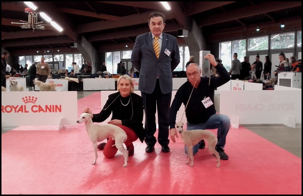 des Joyaux d'herneith - Exposition Canine Nationale à  Perpignan 27/01/18