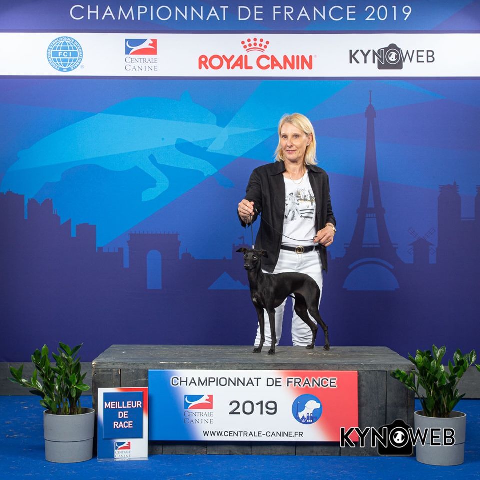 des Joyaux d'herneith - Championne de France de beauté 2019 !!!