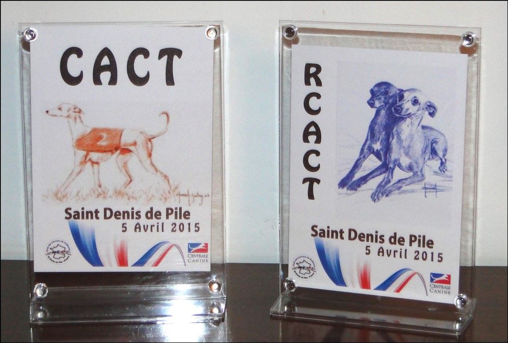 des Joyaux d'herneith - ENC Saint-Denis-de-Pile le 05 avril 2015
