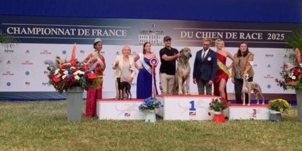 des Joyaux d'herneith - Championnat de France 2025 !