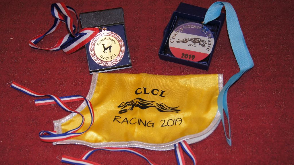 des Joyaux d'herneith - CHAMPION DE FRANCE RACING 2019