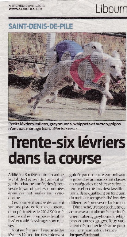 des Joyaux d'herneith - ENC Saint-Denis de Pile (33)