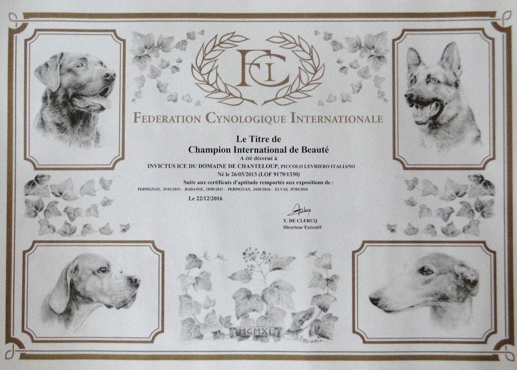 des Joyaux d'herneith - Titre Champion International de Beauté