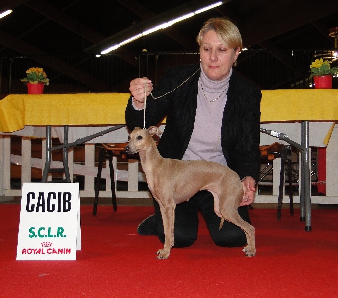 des Joyaux d'herneith - CACIB à Perpignan